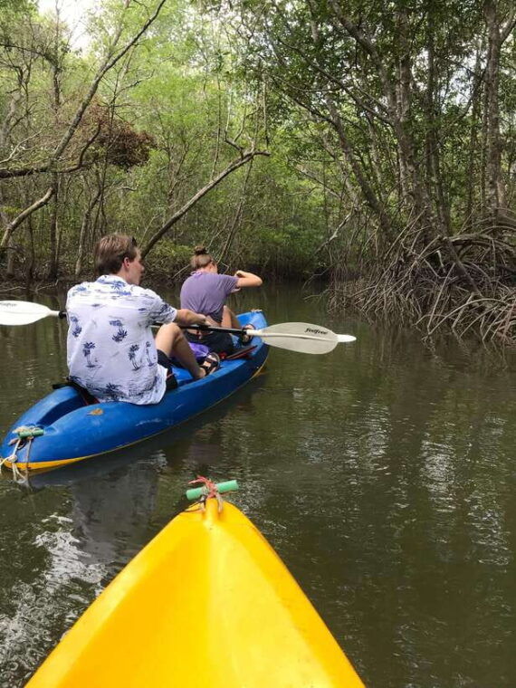 ko-lanta-half-day-explore-mangrove-kayaking-tour-and-lunch