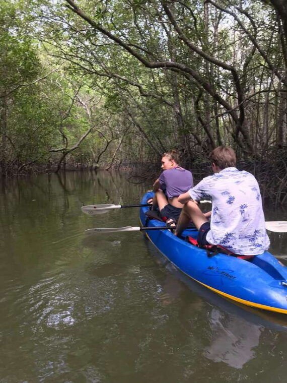 ko-lanta-half-day-explore-mangrove-kayaking-tour-and-lunch