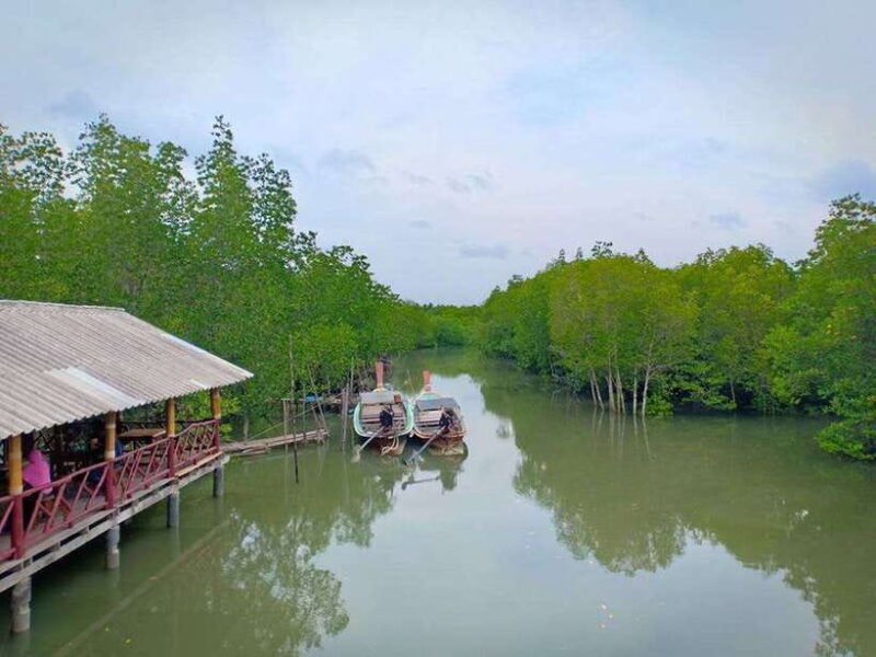 ko-lanta-half-day-mangrove-boat-trip-with-local-guide