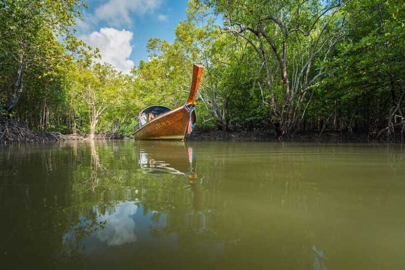 ko-lanta-half-day-mangrove-boat-trip-with-local-guide