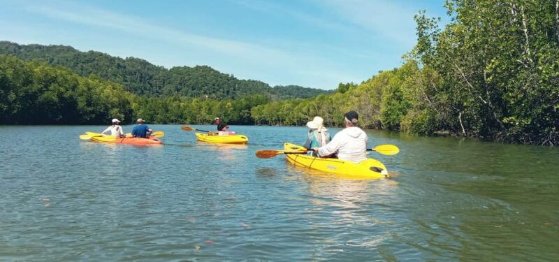 ko-lanta-half-day-mangrove-eco-kayak-experience-with-lunch