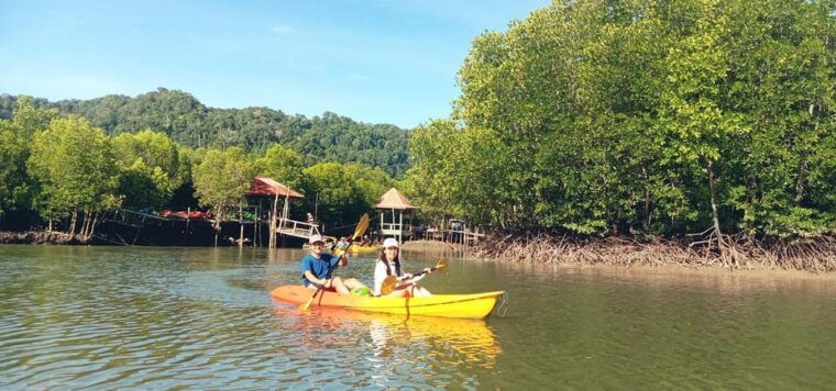 ko-lanta-half-day-mangrove-eco-kayak-experience-with-lunch
