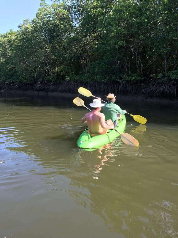 ko-lanta-half-day-mangrove-kayaking-tour-with-lunch