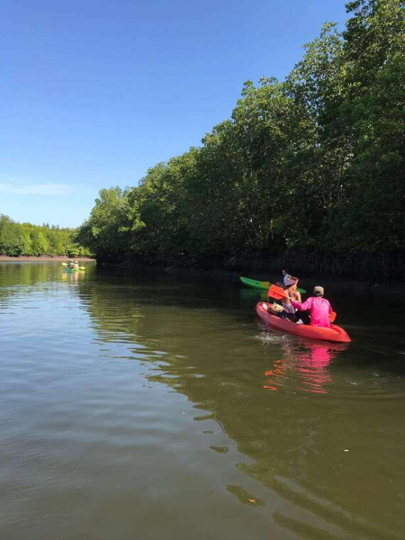 ko-lanta-half-day-mangrove-kayaking-tour-with-lunch