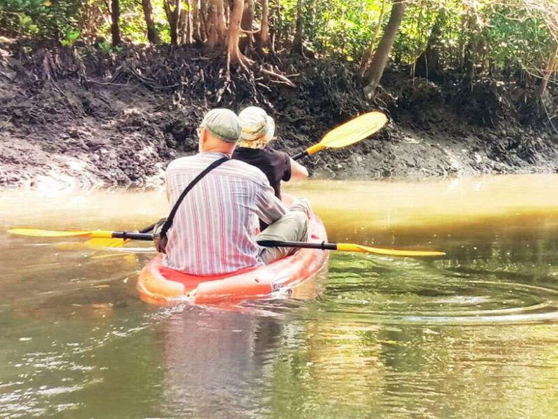 ko-lanta-half-day-mangrove-kayaking-with-lunch