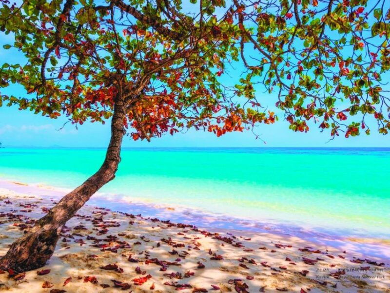 ko-lanta-koh-rok-koh-haa-snorkelling-tour-by-speedboat