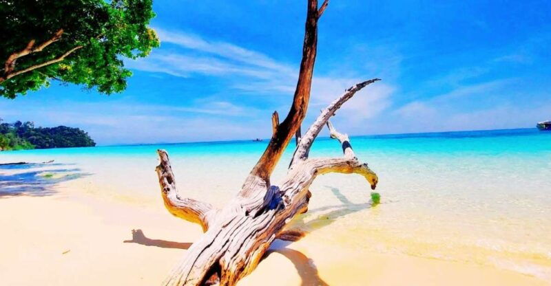 ko-lanta-koh-rok-koh-haa-snorkelling-tour-by-speedboat