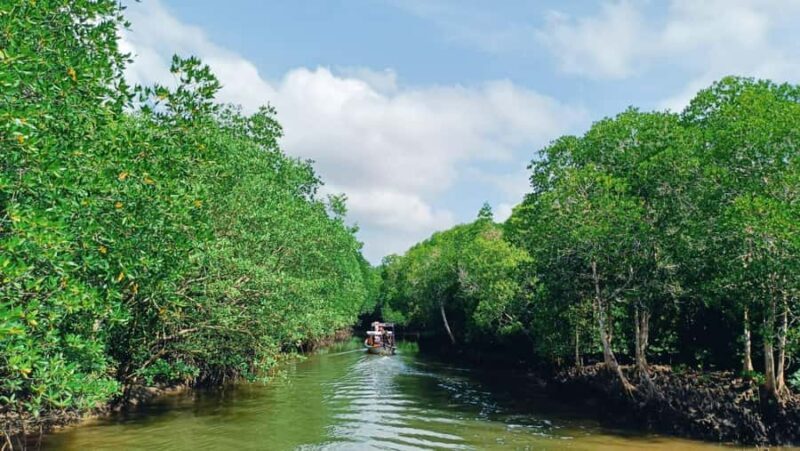 Ko Lanta: Mangrove boat trip + Local village with lunch - Practical Details and Value