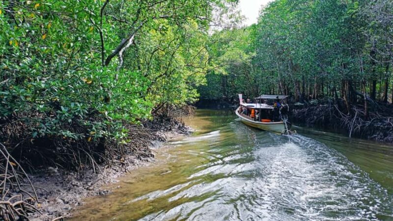 Ko Lanta: Mangrove boat trip + Local village with lunch - Who Should Consider This Tour?
