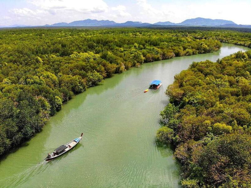 Ko Lanta: Mangrove Forest Boat Tour with Lunch or Dinner - The Itinerary in Detail