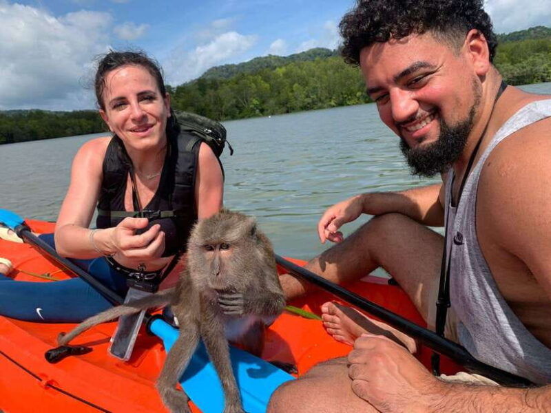 ko-lanta-mangrove-forest-kayak-wildlife-adventure