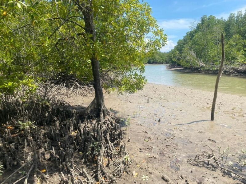 Ko Lanta: Mangrove Kayaking, Ko Talabeng, & Skull Island - Continuing the Adventure: More Kayaking and Cave Exploration