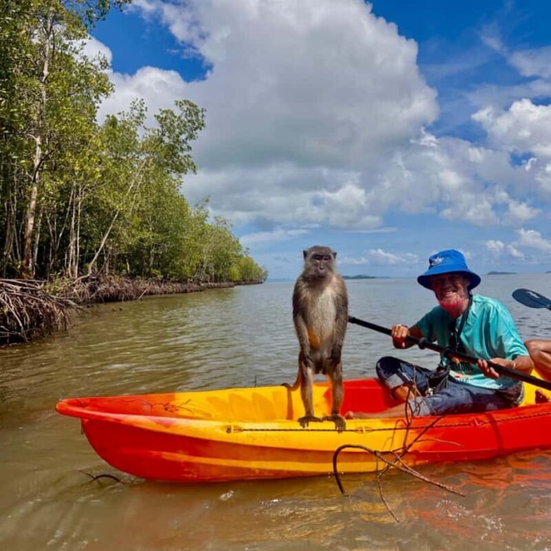 Ko Lanta: Mangrove Kayaking Tour with Lunch & Wildlife - The Kayaking Experience