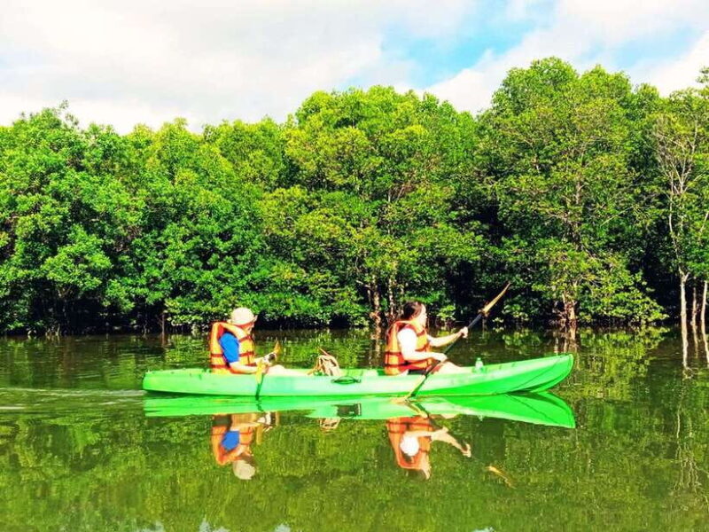 Ko Lanta: Mangrove Kayaking with Lunch and Hotel Transfer - Key Points