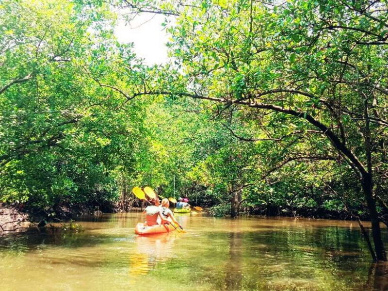Ko Lanta: Mangrove Kayaking with Lunch and Hotel Transfer - Who Should Consider This Tour?