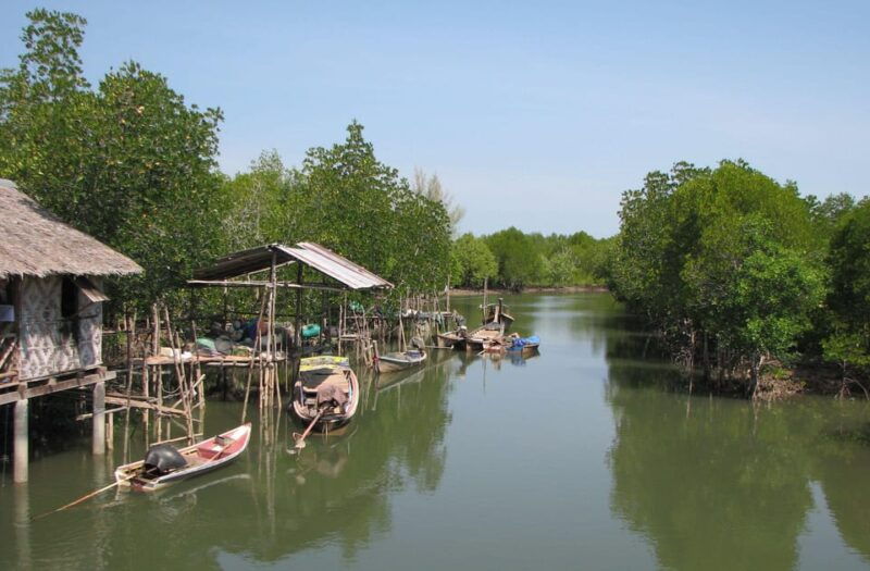 ko-lanta-old-town-and-mangrove-forest-sightseeing-tour