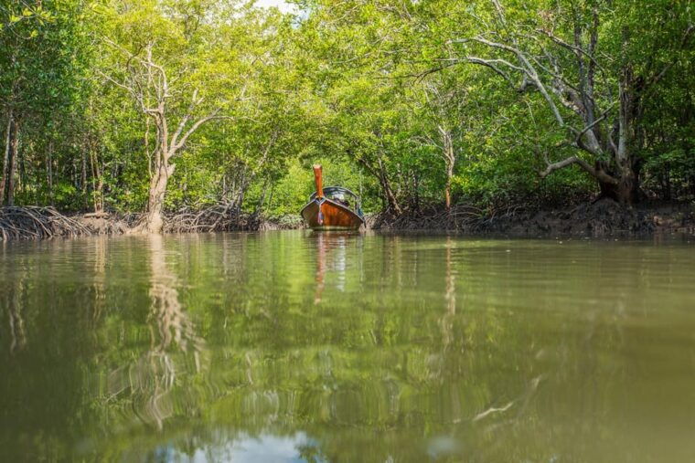 ko-lanta-old-town-and-mangrove-forest-sightseeing-tour