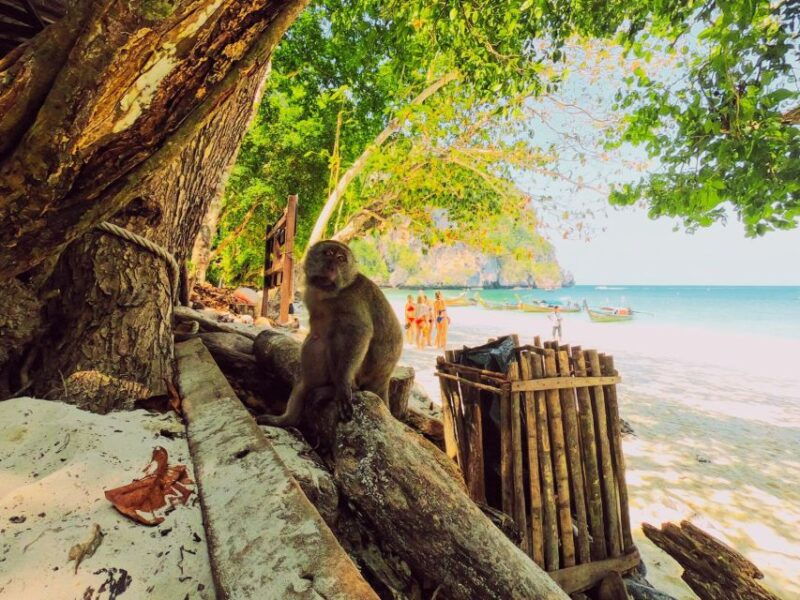 ko-lanta-phi-phi-day-trip-by-speed-boat