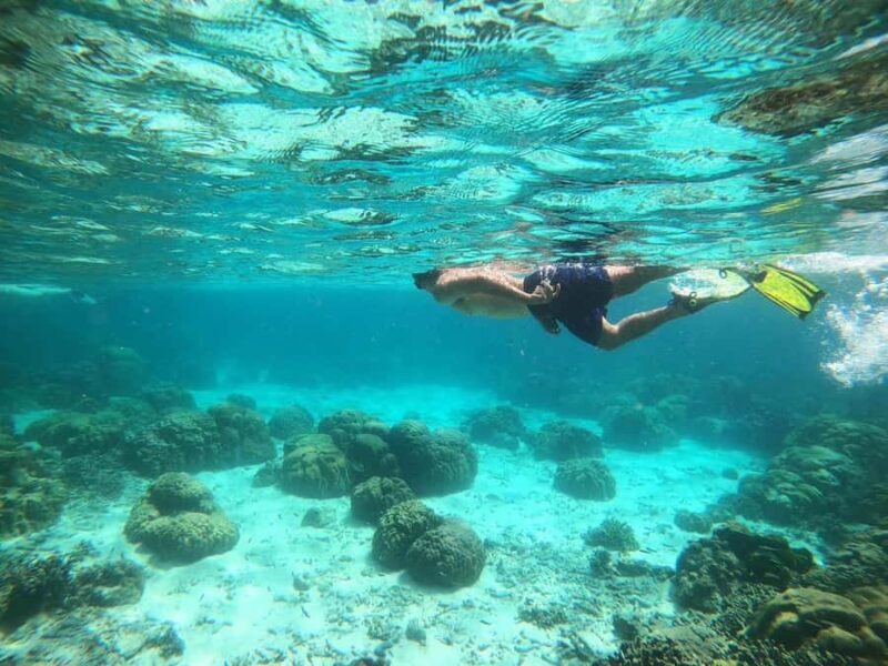 Ko Lanta: Private Exclusive Longtail to Ko Rok With Lunch - Who Should Book This Tour?