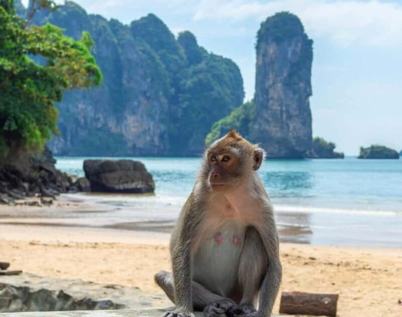 Ko Lanta: Private Exploration Mangroves, Old Town & Beaches - Who Should Consider This Tour?