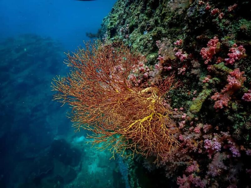 Ko Lanta: Private Long-tail Boat Fishing & Snorkeling Tour - The Practicalities: What You Need to Know