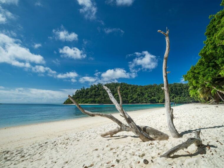 ko-lanta-private-longtail-rok-island-snorkeling-day-trip