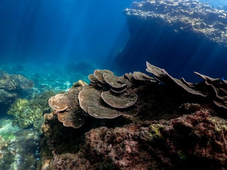 ko-lanta-private-snorkeling-tour-at-ko-ma-ko-ngai-ko-mook