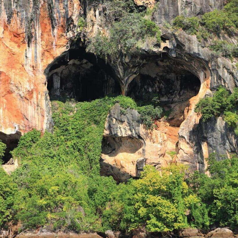 ko-lanta-sea-cave-kayaking-adventure-mangrove-with-lunch