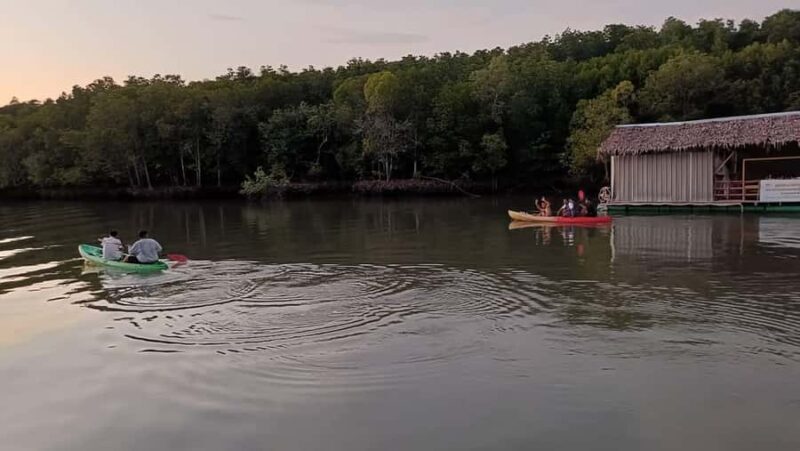 Ko Lanta: Sunset + Bioluminescence plankton by kayaking - Authentic Experiences from Reviewers