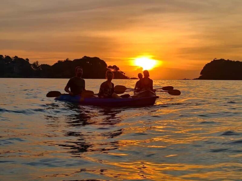 Ko Lanta: Sunset Kayaking & Bioluminescent Plankton Tour - Key Points