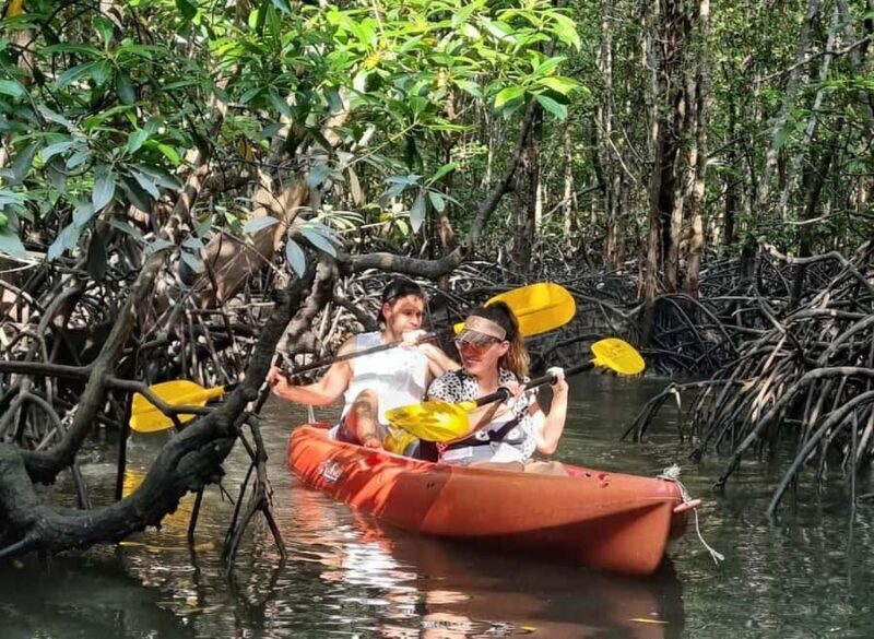 Ko Lanta: The Mangrove Kayaking Experience + Local Lunch - Introduction to the Ko Lanta Mangrove Kayaking Tour
