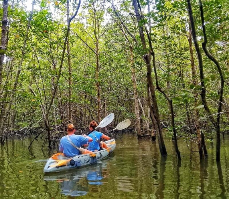 Ko Lanta: Thung Yee Peng Mangrove Kayak Rental - Final Thoughts