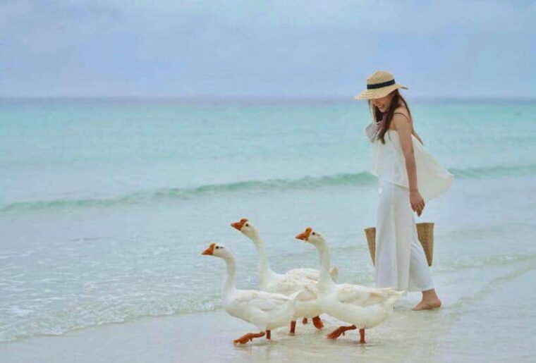 ko-larn-island-vip-private-day-trip-with-water-activities