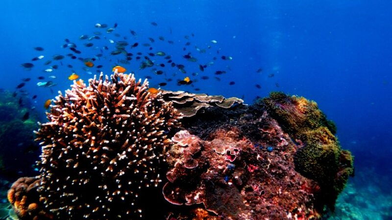 ko-muk-emerald-cave-kradan-chueak-private-long-tail-boat