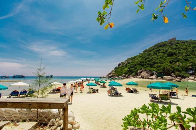 Ko Pha Ngan: Koh Tao & Koh Nangyuan Snorkeling Adventure - How the Day Starts: Easy Transfers and Check-in