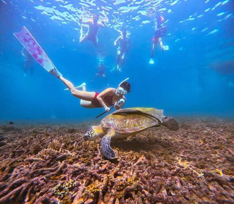 Ko Pha Ngan: Koh Tao & Koh Nangyuan Snorkeling Adventure - Koh Nangyuan: The Iconic Viewpoint and Beach Break