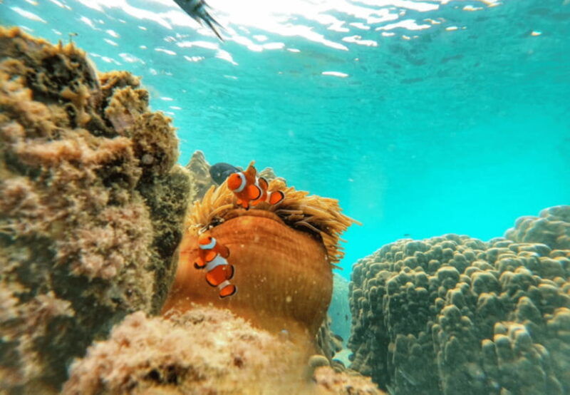 ko-samet-5-or-6-islands-snorkeling-tour-with-lunch-option