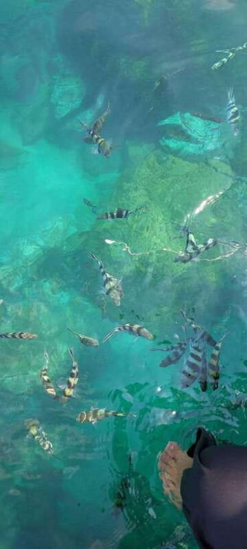 ko-samui-angthong-national-marine-park-by-speedboat
