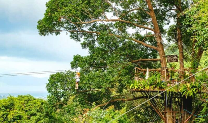 Ko Samui: Jungle Zipline & Waterfall Adventure with Drink - The Overall Experience