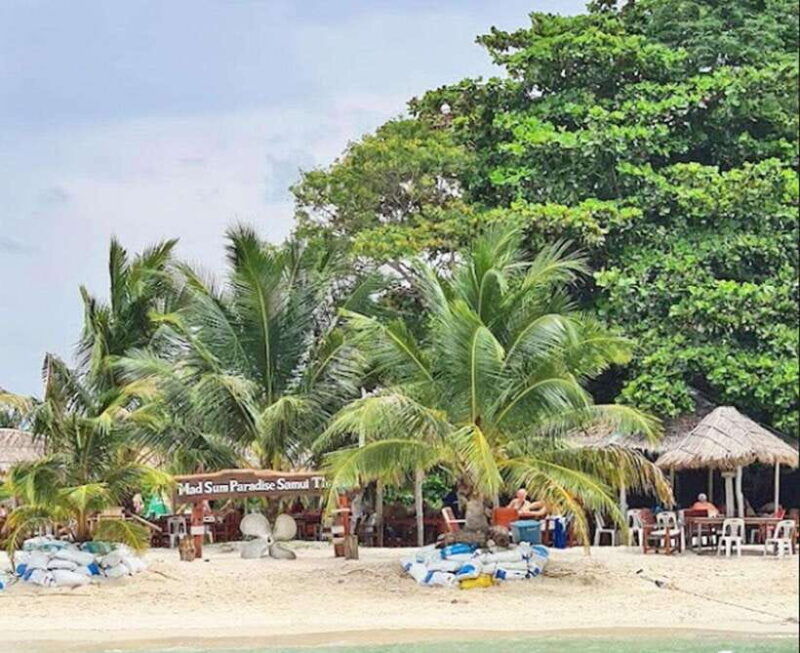 ko-samui-pig-island-snorkeling-and-koh-tan-speedboat-tour