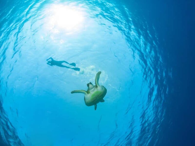 Ko Samui: Unique Ko Tao & Ko Nang Yuan Snorkeling Day Trip - Key Points