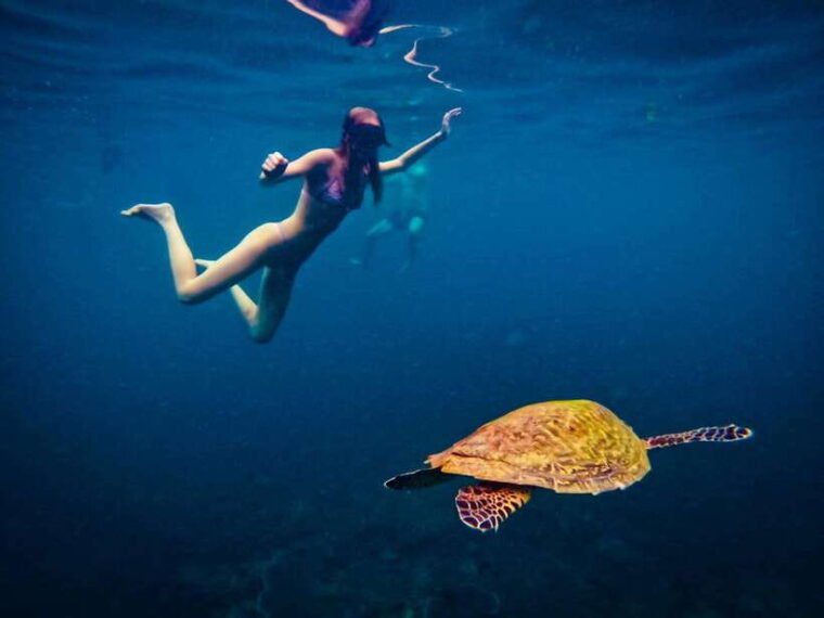 ko-tao-late-riser-snorkeling-tour-with-lunch-and-photos