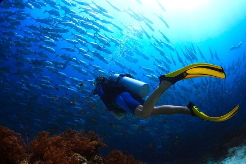 ko-tao-open-water-scuba-diving-4-day-course