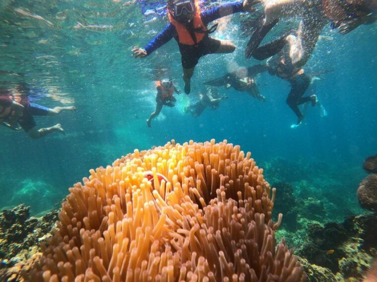 ko-tao-snorkeling-tour-to-hidden-bays-and-nang-yuan-island