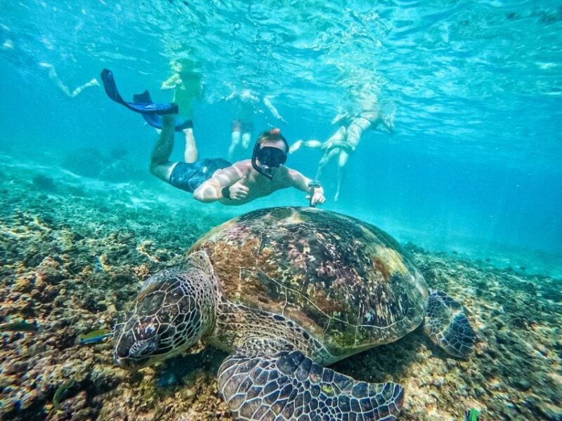 Ko Tao: Tao-Nangyuan Snorkeling Day Trip with Meals & Sunset - FAQ