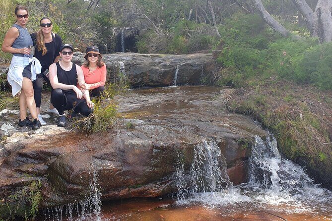 Koala & Kangaroos Experience, Waterfalls and Scenic Train Journey - The Sum Up