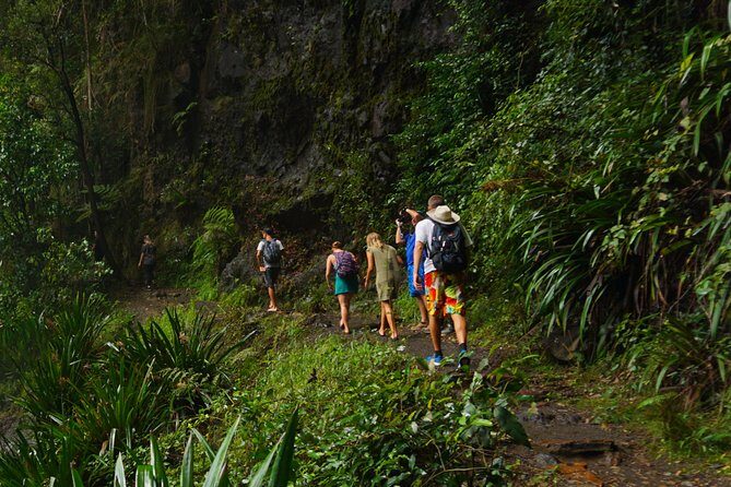 Koalas, Glow Worms & Kangaroos - Nature & Rainforest Walk - Itinerary Breakdown