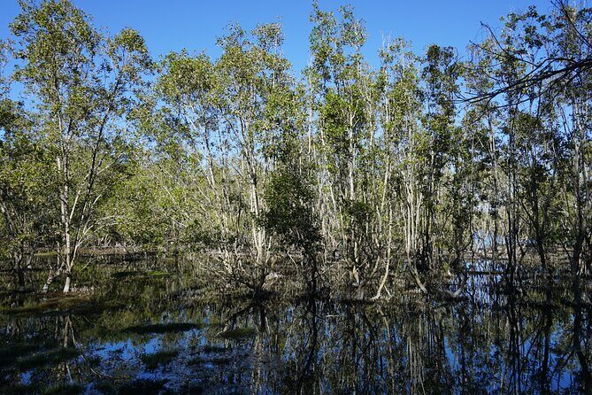 Koalas, Glow Worms & Kangaroos - Nature & Rainforest Walk - FAQ