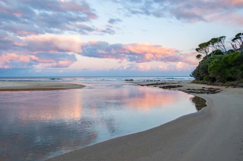 Koalas, Kangaroos and Lyrebirds - Authentic Experiences and Guides