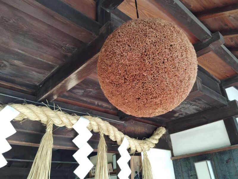 Kobe: 3-Hour Sake Breweries Guided Tour with Tastings - Final Verdict